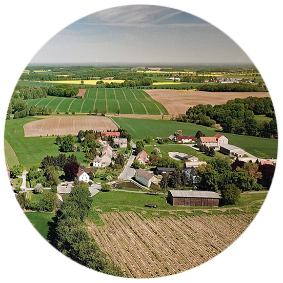 Auschkowitz Taucherwald Agrar, Hopfenanbau, Hopfen, Marktfruchtbau